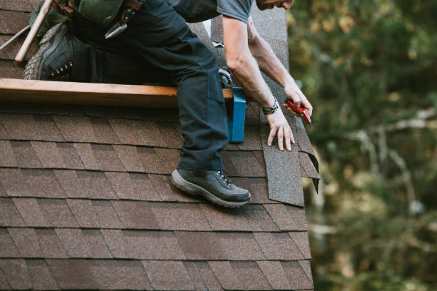 Best Local Roofing Companies  in New Port Richey East, FL