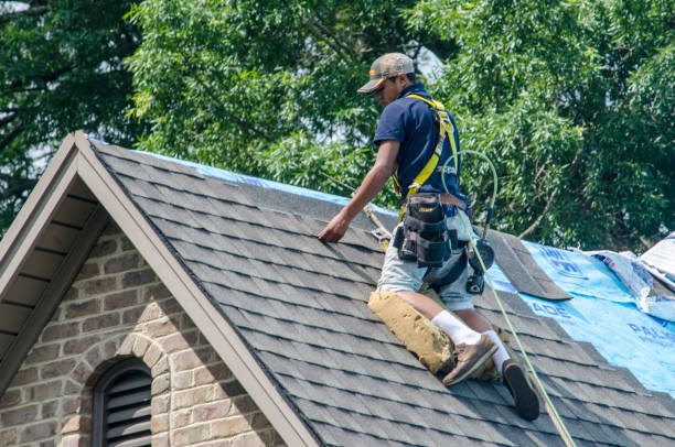 Best Storm Damage Roof Repair  in New Port Richey East, FL